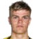 赫尔曼松